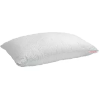 Pillow Come-For Advice Dream